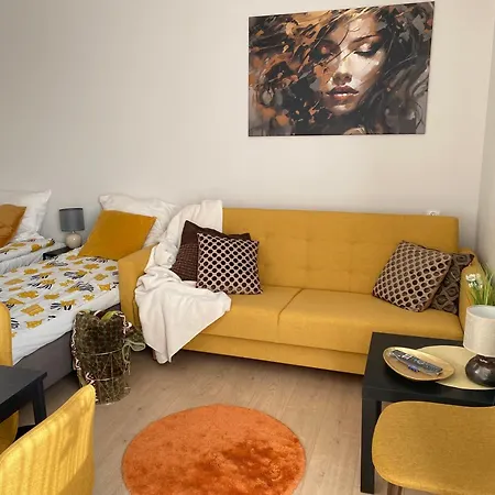 Apartamento Browarna Mini