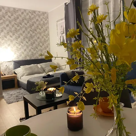 Apartamento Browarna Mini