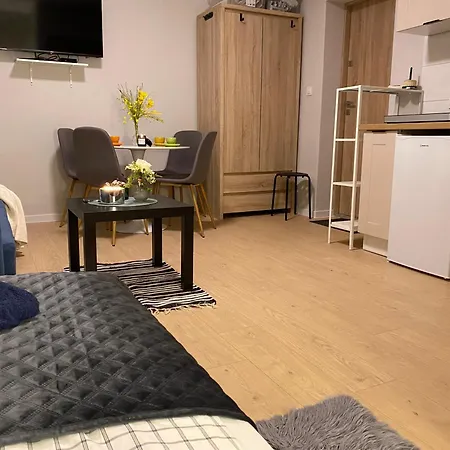 Apartamento Browarna Mini *