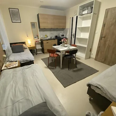Apartment Browarna Mini *