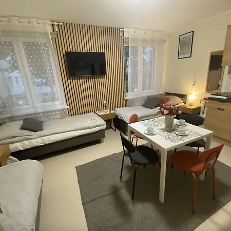 Apartment Browarna Mini *
